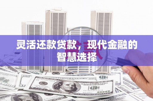 海盐灵活还款贷款，现代金融的智慧选择