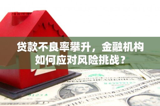 海盐贷款不良率攀升，金融机构如何应对风险挑战？