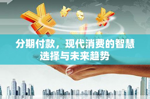 海盐分期付款，现代消费的智慧选择与未来趋势