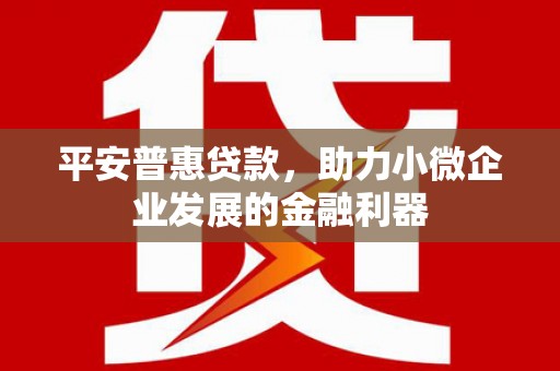 海盐平安普惠贷款，助力小微企业发展的金融利器