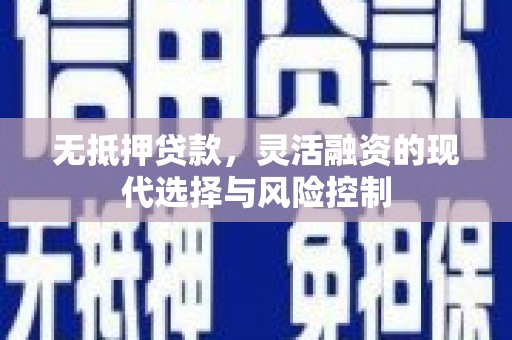 海盐无抵押贷款，灵活融资的现代选择与风险控制