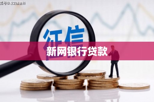 海盐新网银行贷款
