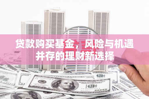 海盐贷款购买基金，风险与机遇并存的理财新选择