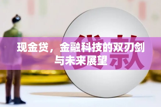 海盐现金贷，金融科技的双刃剑与未来展望