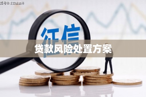海盐贷款风险处置方案