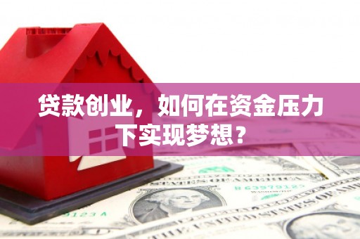 海盐贷款创业，如何在资金压力下实现梦想？