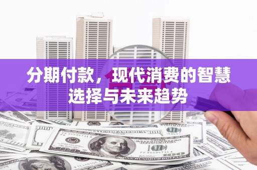 海盐分期付款，现代消费的智慧选择与未来趋势