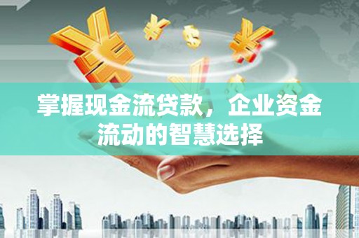 海盐掌握现金流贷款，企业资金流动的智慧选择