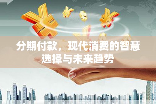 海盐分期付款，现代消费的智慧选择与未来趋势