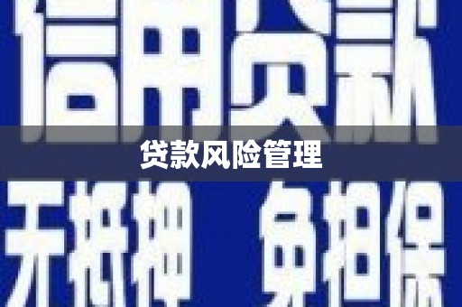 海盐贷款风险管理