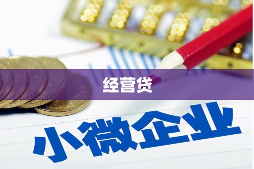 海盐经营贷