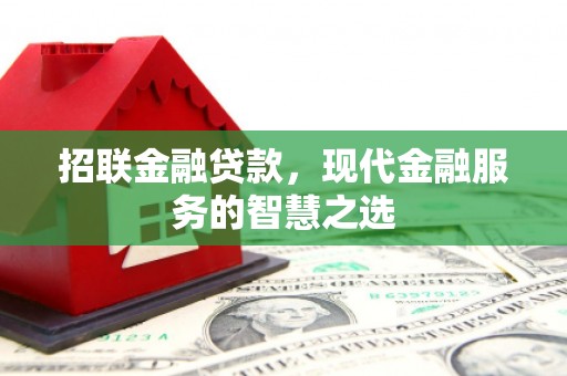 海盐招联金融贷款，现代金融服务的智慧之选