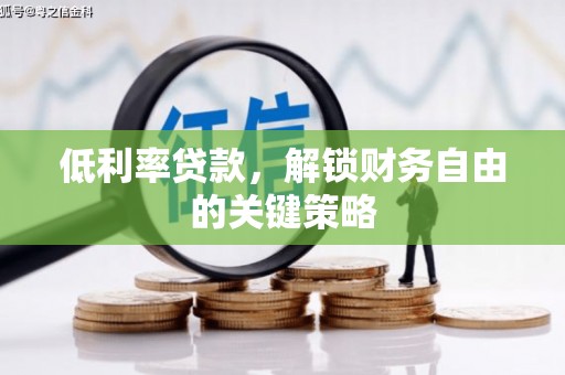 海盐低利率贷款，解锁财务自由的关键策略