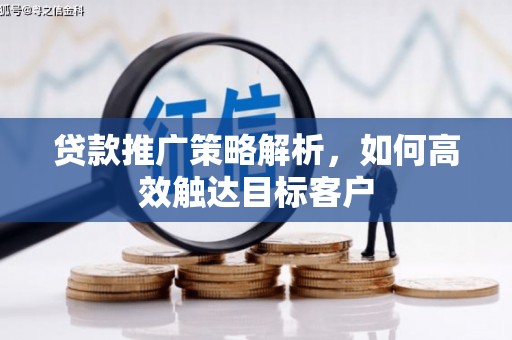 海盐贷款推广策略解析，如何高效触达目标客户