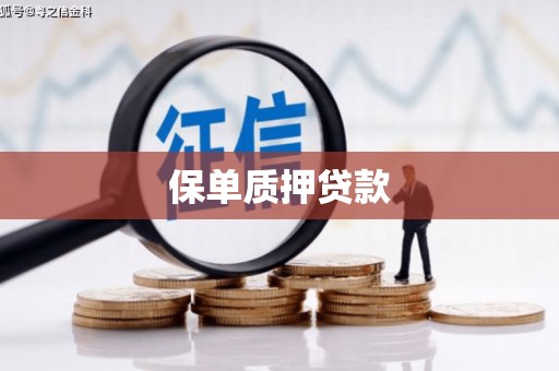 海盐保单质押贷款