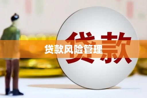 海盐贷款风险管理