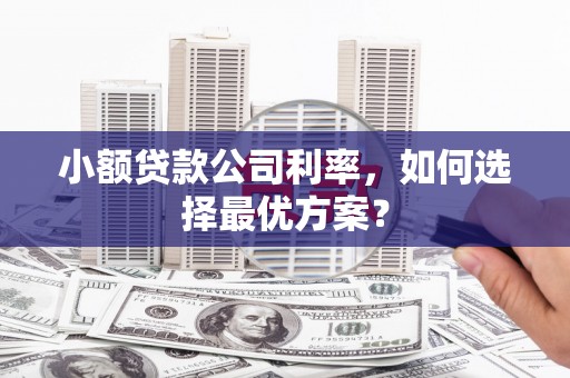 海盐小额贷款公司利率，如何选择最优方案？