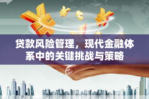 海盐贷款风险管理，现代金融体系中的关键挑战与策略