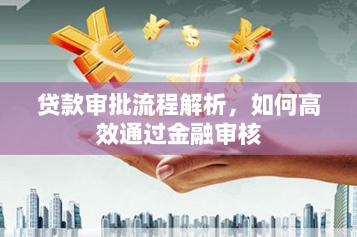 海盐贷款审批流程解析，如何高效通过金融审核
