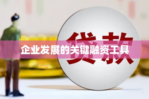 海盐企业发展的关键融资工具
