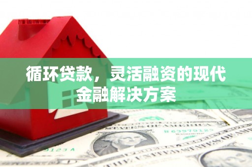 海盐循环贷款，灵活融资的现代金融解决方案