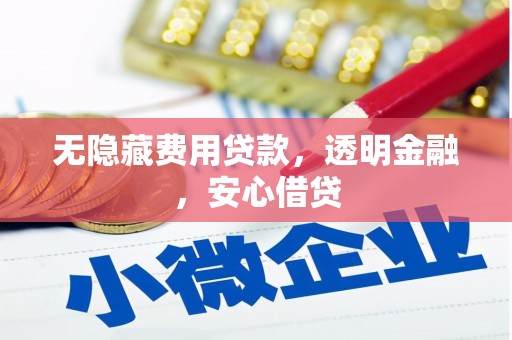 海盐无隐藏费用贷款，透明金融，安心借贷