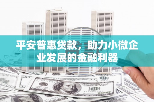 海盐平安普惠贷款，助力小微企业发展的金融利器