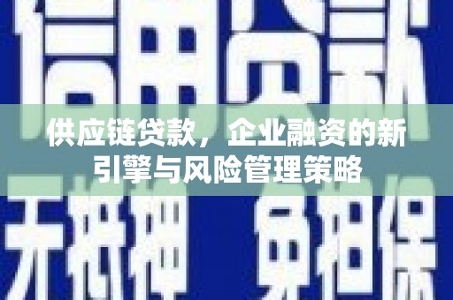 海盐供应链贷款，企业融资的新引擎与风险管理策略