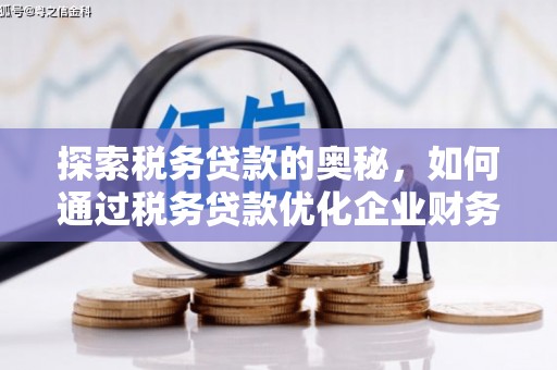 海盐探索税务贷款的奥秘，如何通过税务贷款优化企业财务