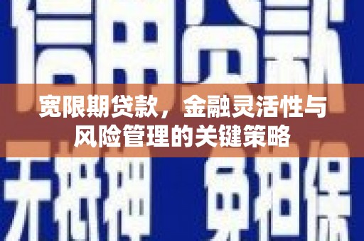 海盐宽限期贷款，金融灵活性与风险管理的关键策略