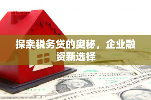 海盐探索税务贷的奥秘，企业融资新选择