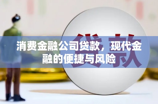 海盐消费金融公司贷款，现代金融的便捷与风险