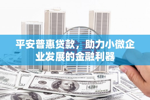 海盐平安普惠贷款，助力小微企业发展的金融利器