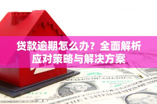 海盐贷款逾期怎么办？全面解析应对策略与解决方案