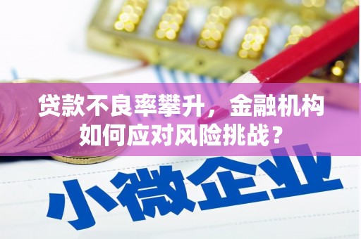 海盐贷款不良率攀升，金融机构如何应对风险挑战？