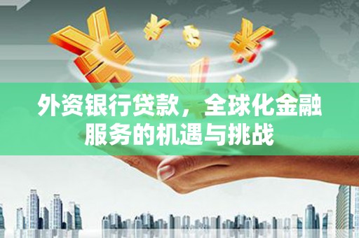 海盐外资银行贷款，全球化金融服务的机遇与挑战