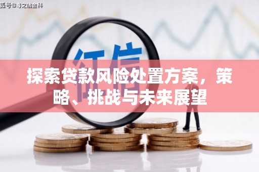 海盐探索贷款风险处置方案，策略、挑战与未来展望