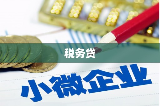 海盐税务贷