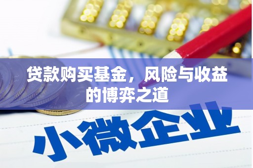 海盐贷款购买基金，风险与收益的博弈之道