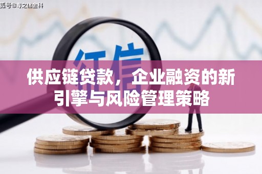 海盐供应链贷款，企业融资的新引擎与风险管理策略