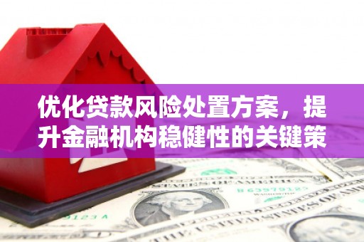 海盐优化贷款风险处置方案，提升金融机构稳健性的关键策略