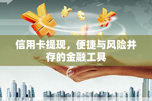 海盐信用卡提现，便捷与风险并存的金融工具