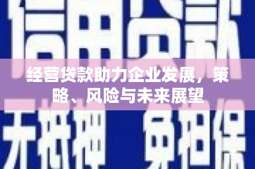 海盐经营贷款助力企业发展，策略、风险与未来展望