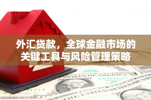 海盐外汇贷款，全球金融市场的关键工具与风险管理策略