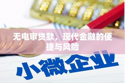 海盐无电审贷款，现代金融的便捷与风险