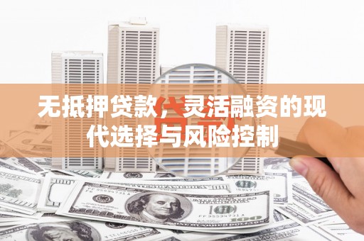 海盐无抵押贷款，灵活融资的现代选择与风险控制