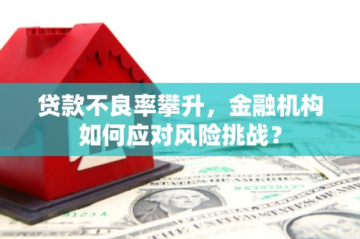 海盐贷款不良率攀升，金融机构如何应对风险挑战？