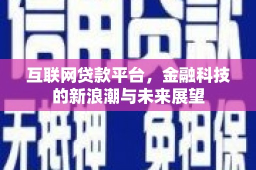 海盐互联网贷款平台，金融科技的新浪潮与未来展望