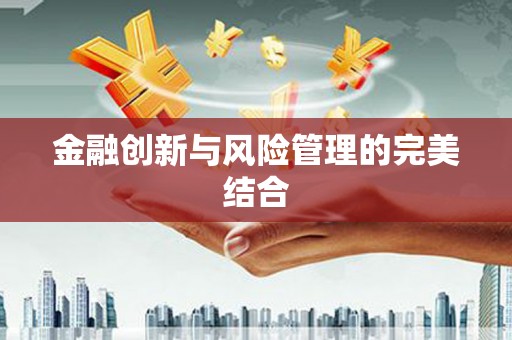 海盐金融创新与风险管理的完美结合