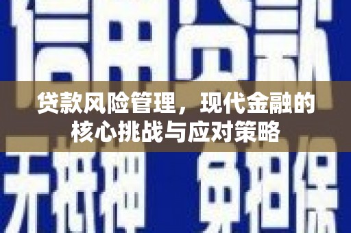 海盐贷款风险管理，现代金融的核心挑战与应对策略